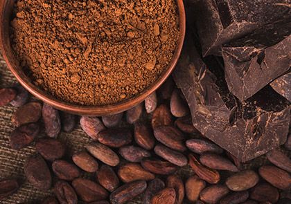 Cocoa powder Screening